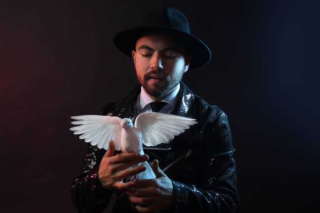 Magicians & Artists WordPress Theme